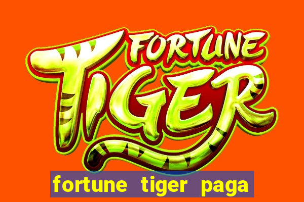 fortune tiger paga de madrugada